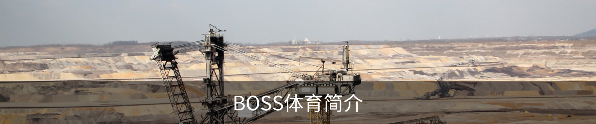 BOSS体育简介